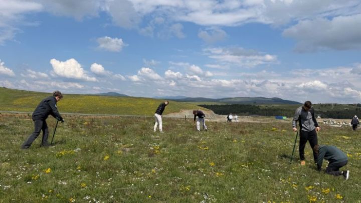 Златибор све зеленији: Посађено 400 садница црног бора у новој акцији пошумљавања