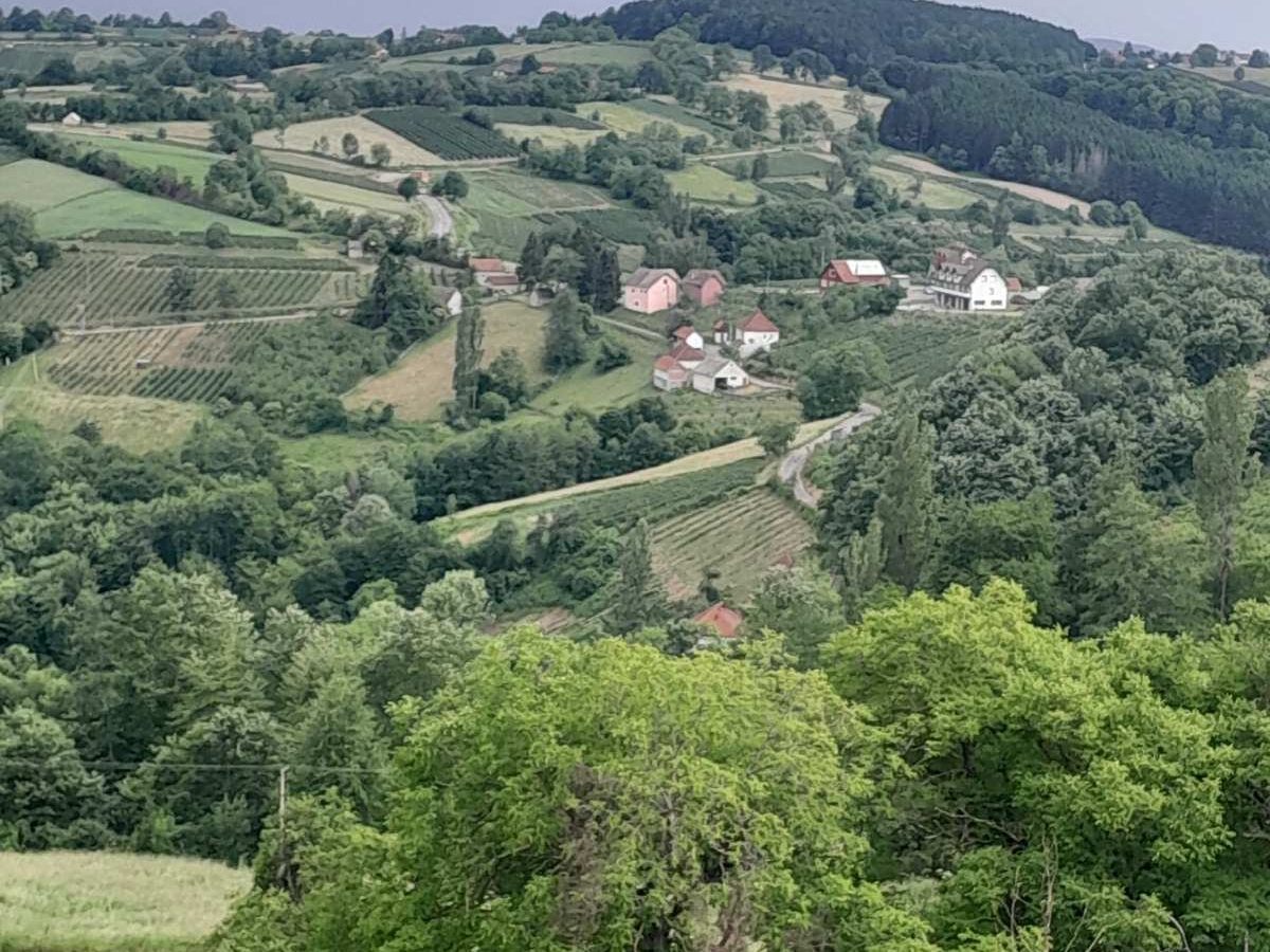 Foto: Ljubica Đukić Pavlović